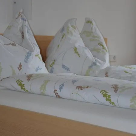 Apartment Kirchdorf 300 Bizau